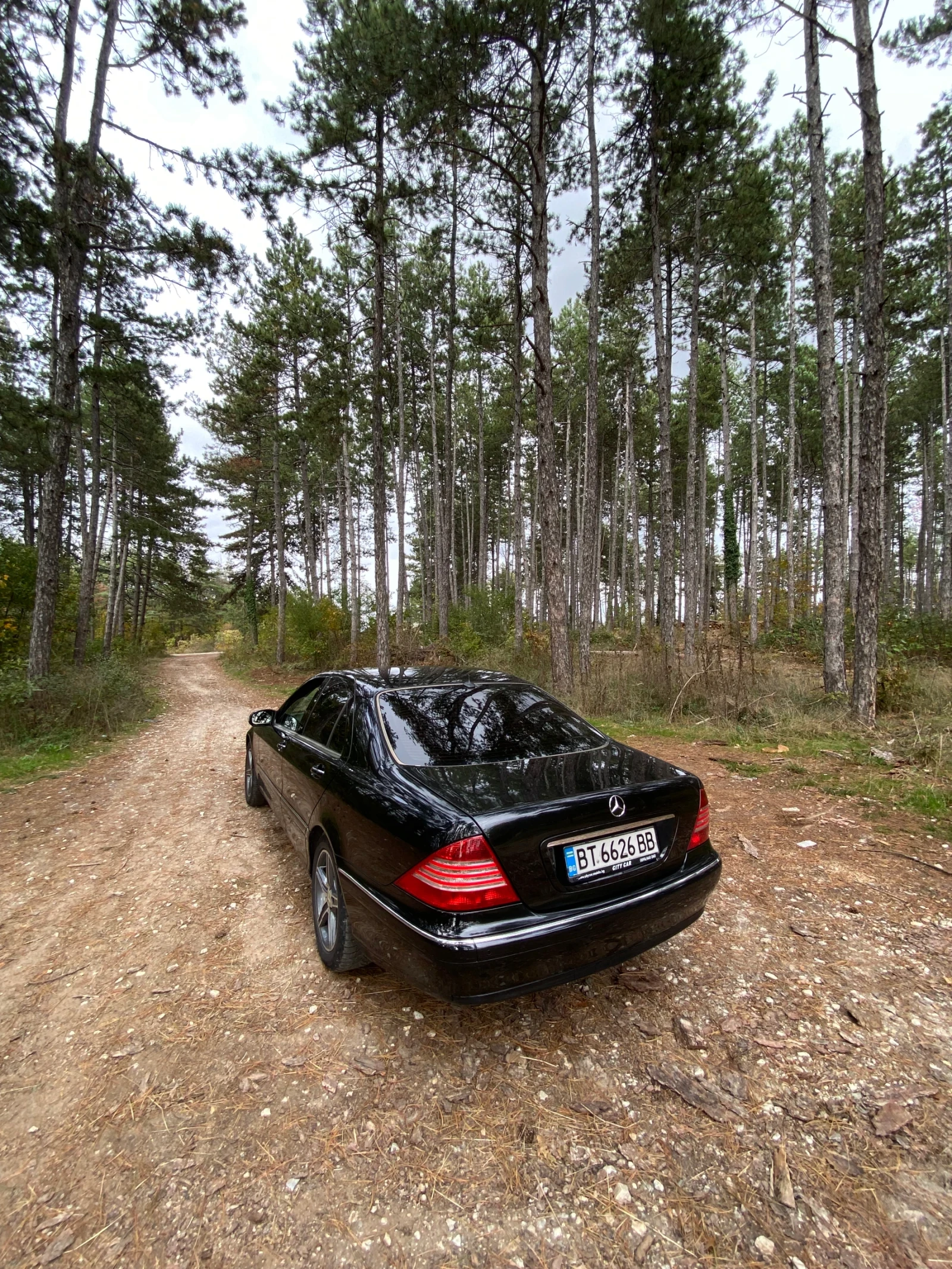 Mercedes-Benz S 320  - изображение 10