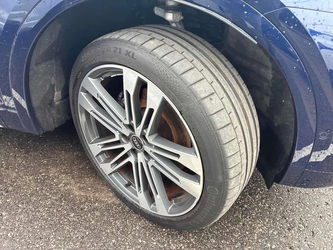 Audi SQ5 * Progressiv * CARFAX * ���������������� * 360 *  | Mobile.bg � ����������� 14