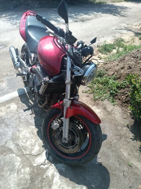     Honda Hornet