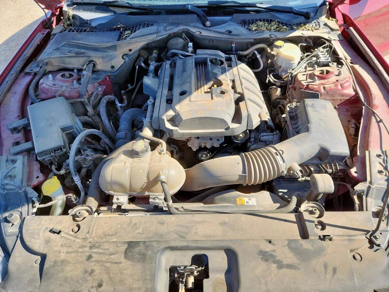 Ford Mustang 2.3* ECO* BOOST* * *  | Mobile.bg   11