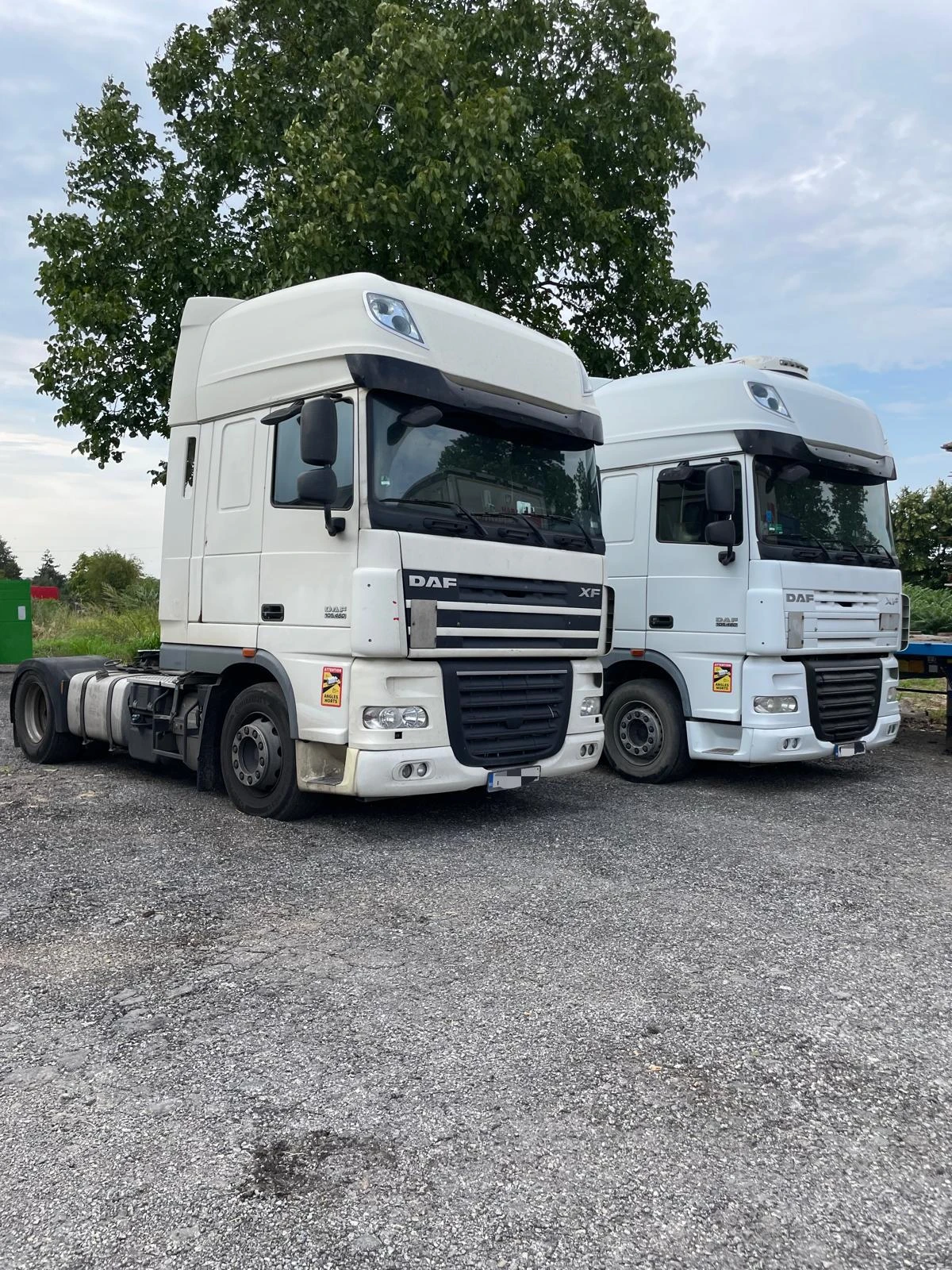 Daf XF 105 460 | Mobile.bg   1