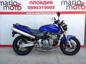  Honda Hornet