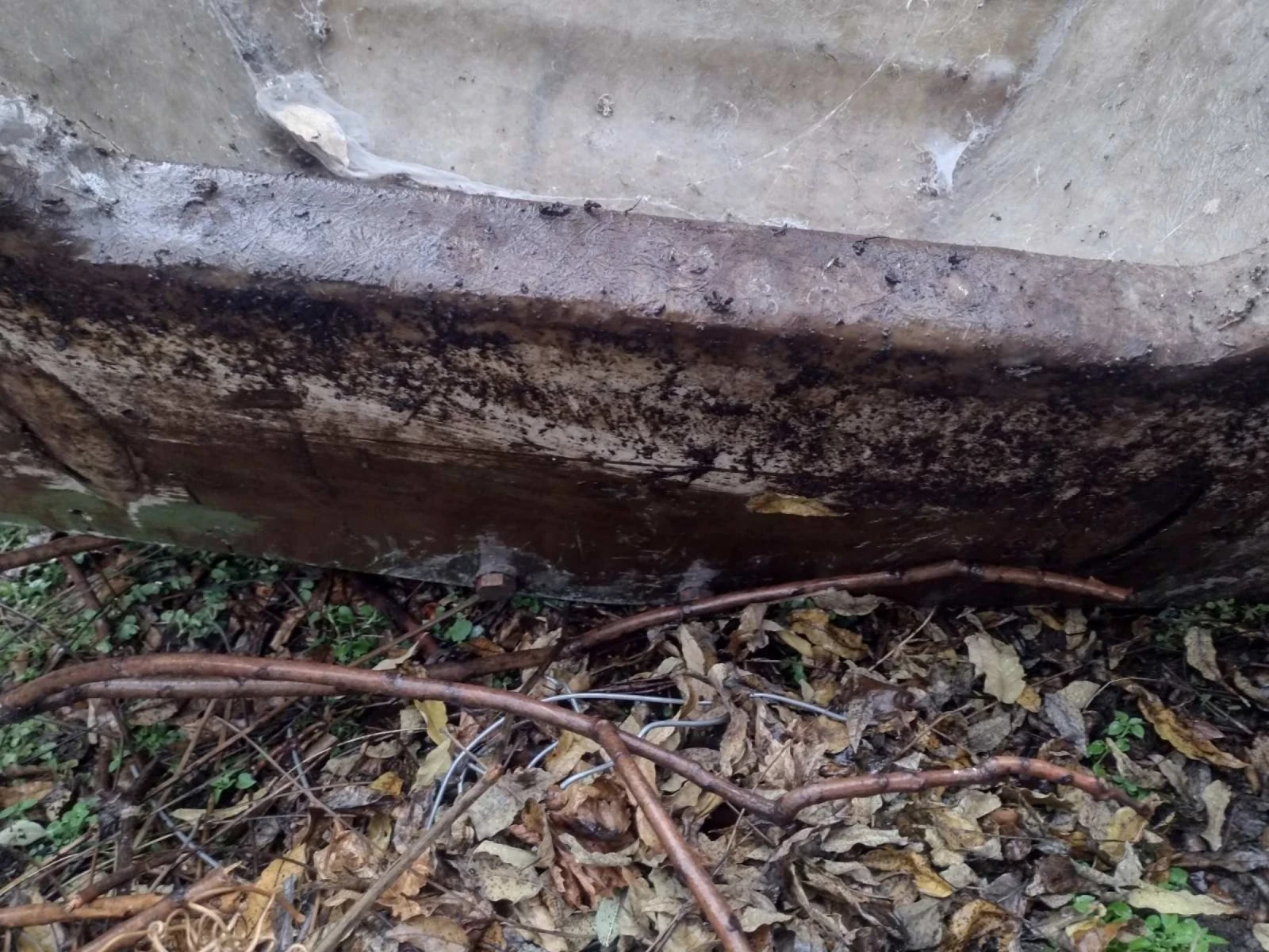     Hohman | Mobile.bg   12