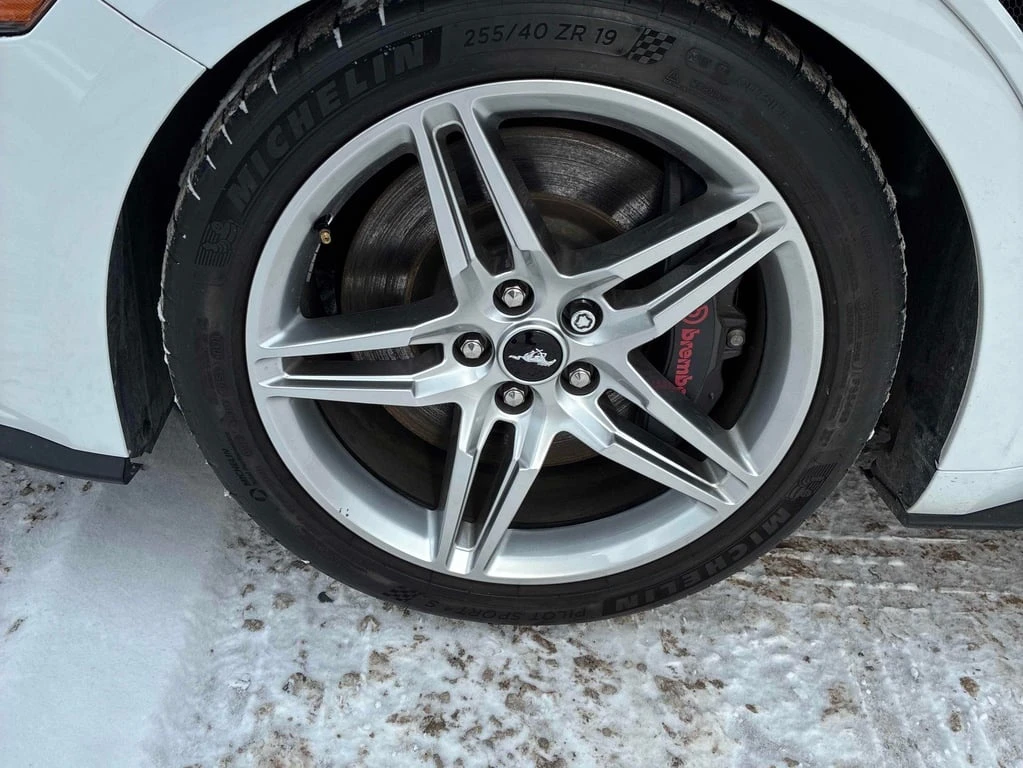 Ford Mustang * GT * CARFAX * ���� �� �� | Mobile.bg � ����������� 7