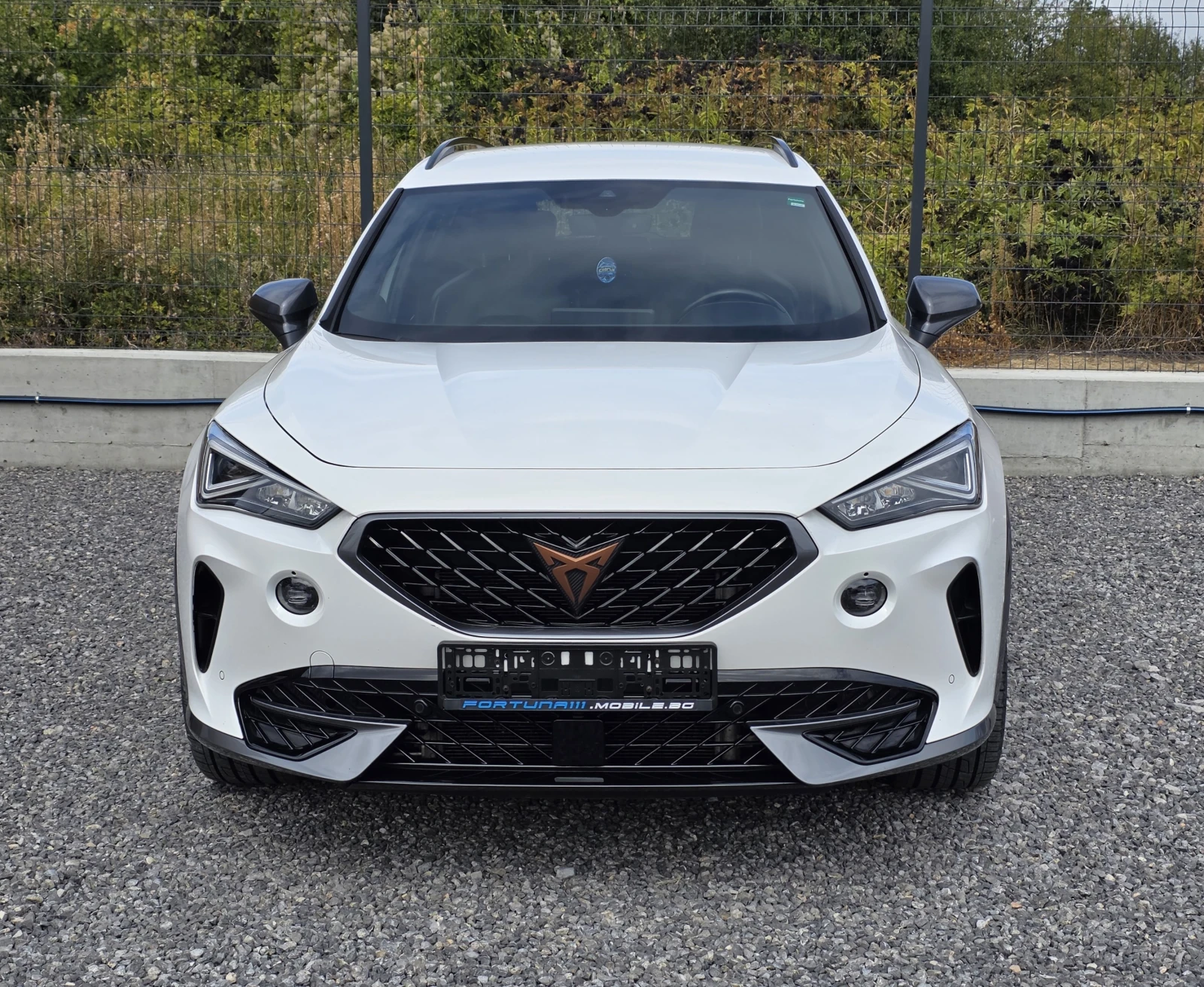 Cupra Formentor 1.4TSI e-Hybrid DSG/204, снимка 2 - Автомобили и джипове - 56225398