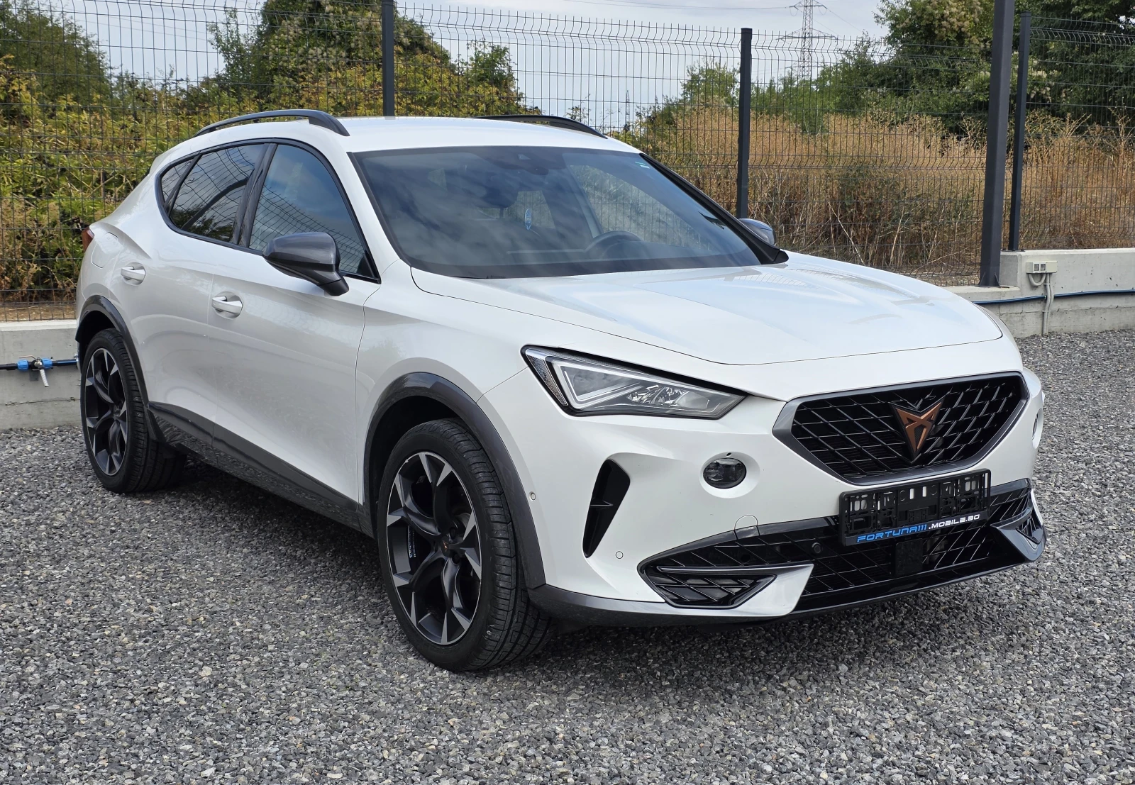 Cupra Formentor 1.4TSI e-Hybrid DSG/204, снимка 3 - Автомобили и джипове - 56225398