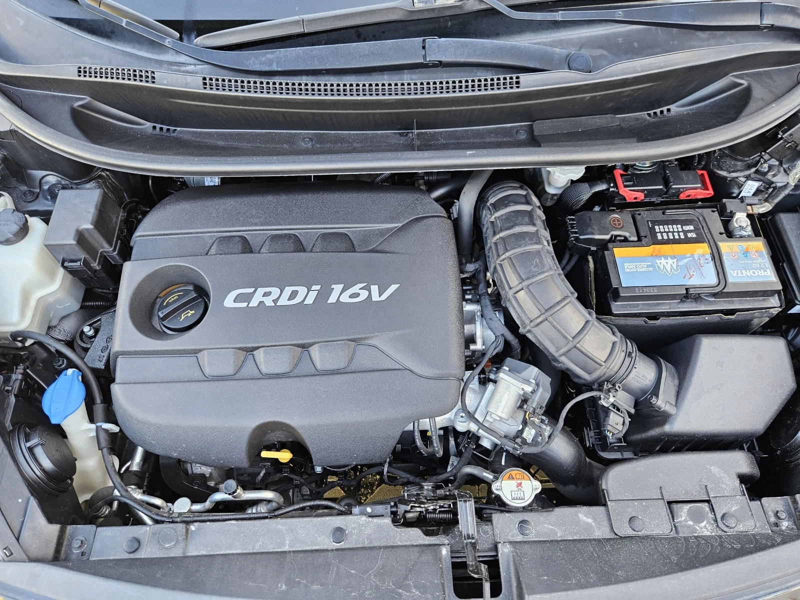 Kia Rio 1.4CRDI-90= 155.000= 6 | Mobile.bg   17