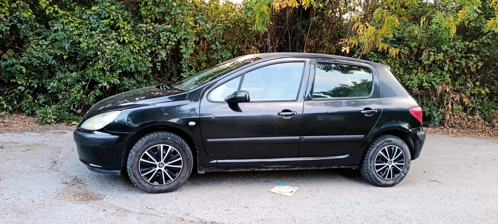 Peugeot 307, снимка 2 - Автомобили и джипове - 55909712