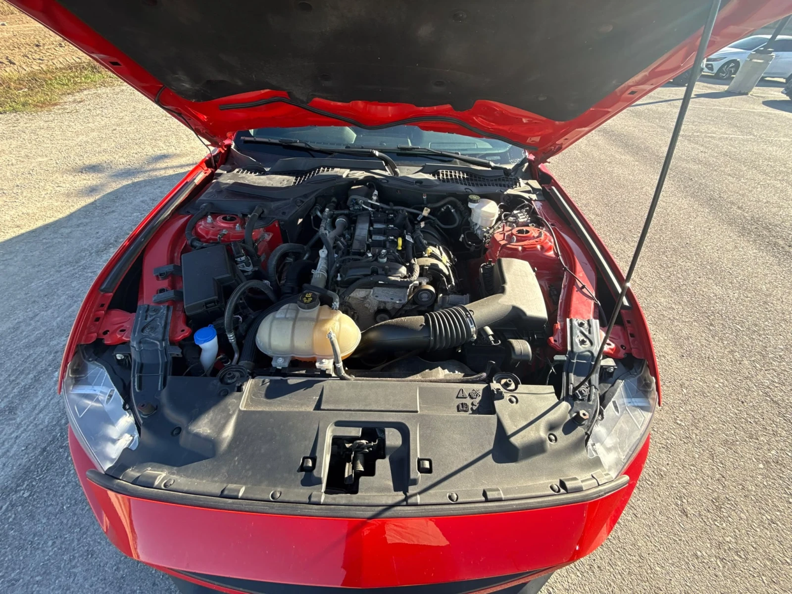 Ford Mustang * EcoBoost * CARFAX * ОПЦИЯ ЗА ФИНАНСИРАНЕ, снимка 17 - Автомобили и джипове - 56127805