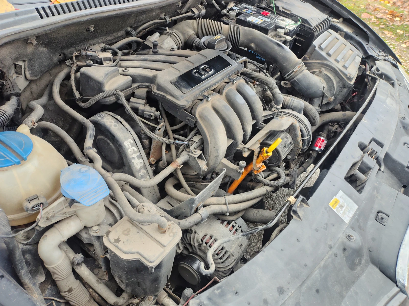 Seat Leon 1, 6,  4   102. | Mobile.bg   5