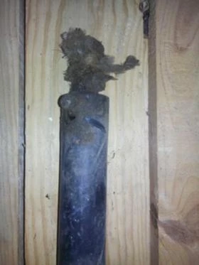 Авточасти за УАЗ, снимка 3