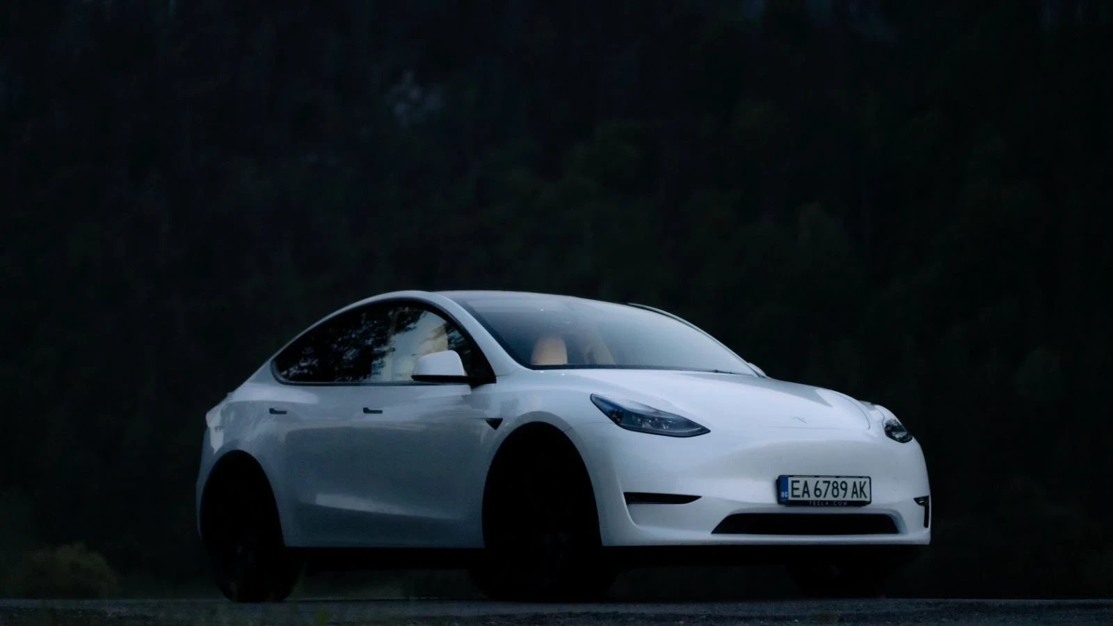 Tesla Model Y LR + Удължена Гаранция