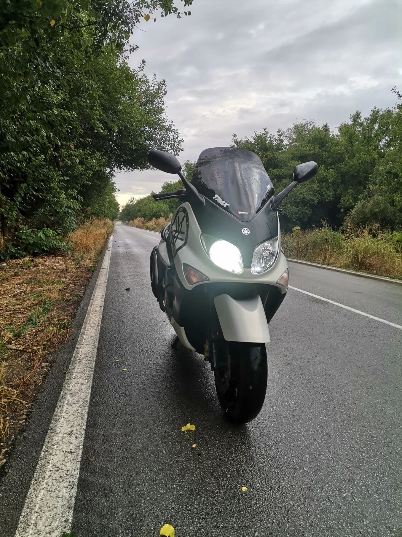 Yamaha T-max 500i | Auto.bg — изображение 1