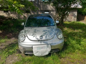     VW Beetle
