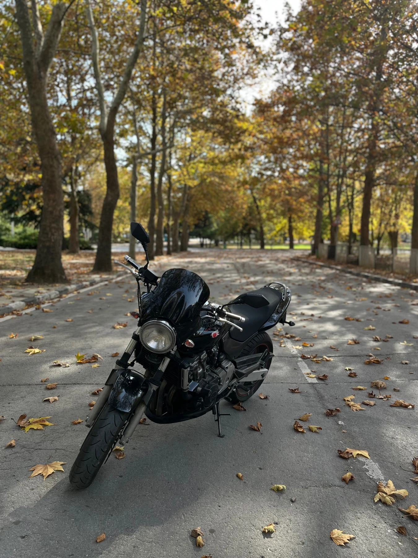 Honda Hornet  - изображение 4