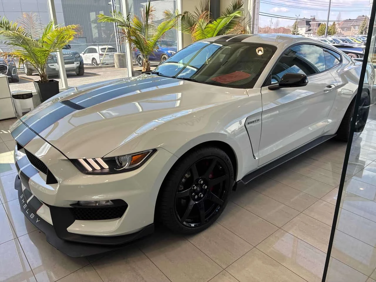 Ford Mustang * Shelby * MANUAL* KEYLESS* , снимка 2 - Автомобили и джипове - 54321099