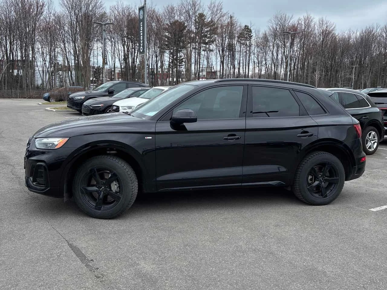 Audi Q5 Progressiv/ПАНОРАМА/ДИСТРОНИК, снимка 3 - Автомобили и джипове - 54359385