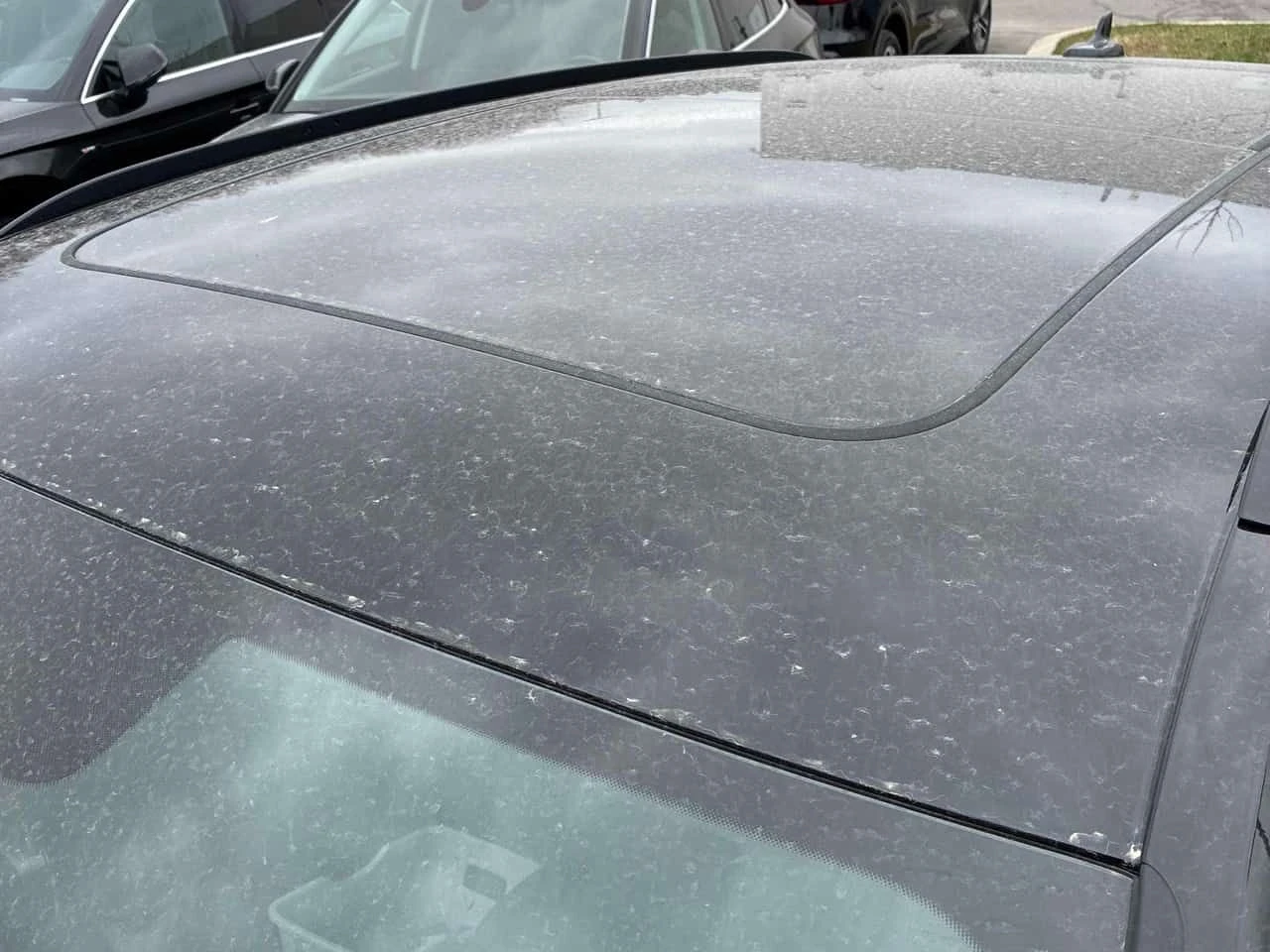 Audi Q5 Progressiv/ПАНОРАМА/ДИСТРОНИК, снимка 13 - Автомобили и джипове - 54359385