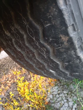 Полуремарке Schwarzmuller, снимка 4 - Ремаркета - 52406220