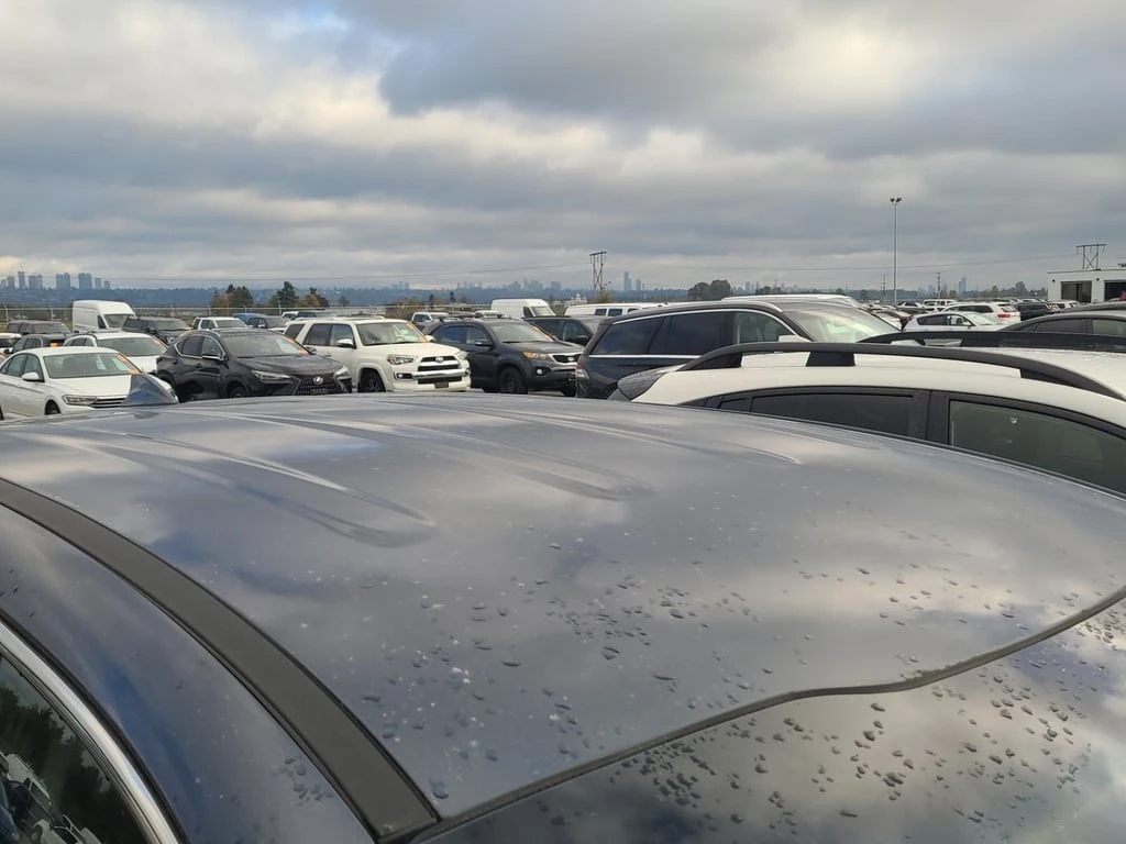 Kia Sportage * LX * CARFAX *    | Mobile.bg   13