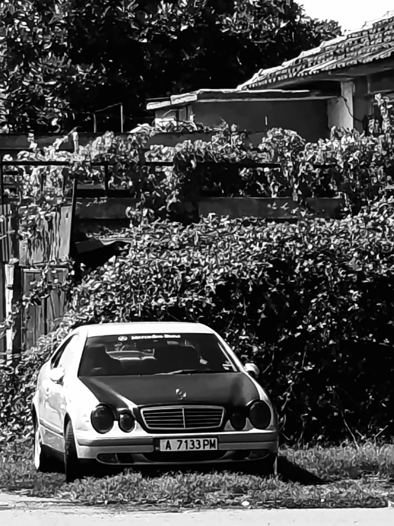Mercedes-Benz CLK W208  | Mobile.bg   3