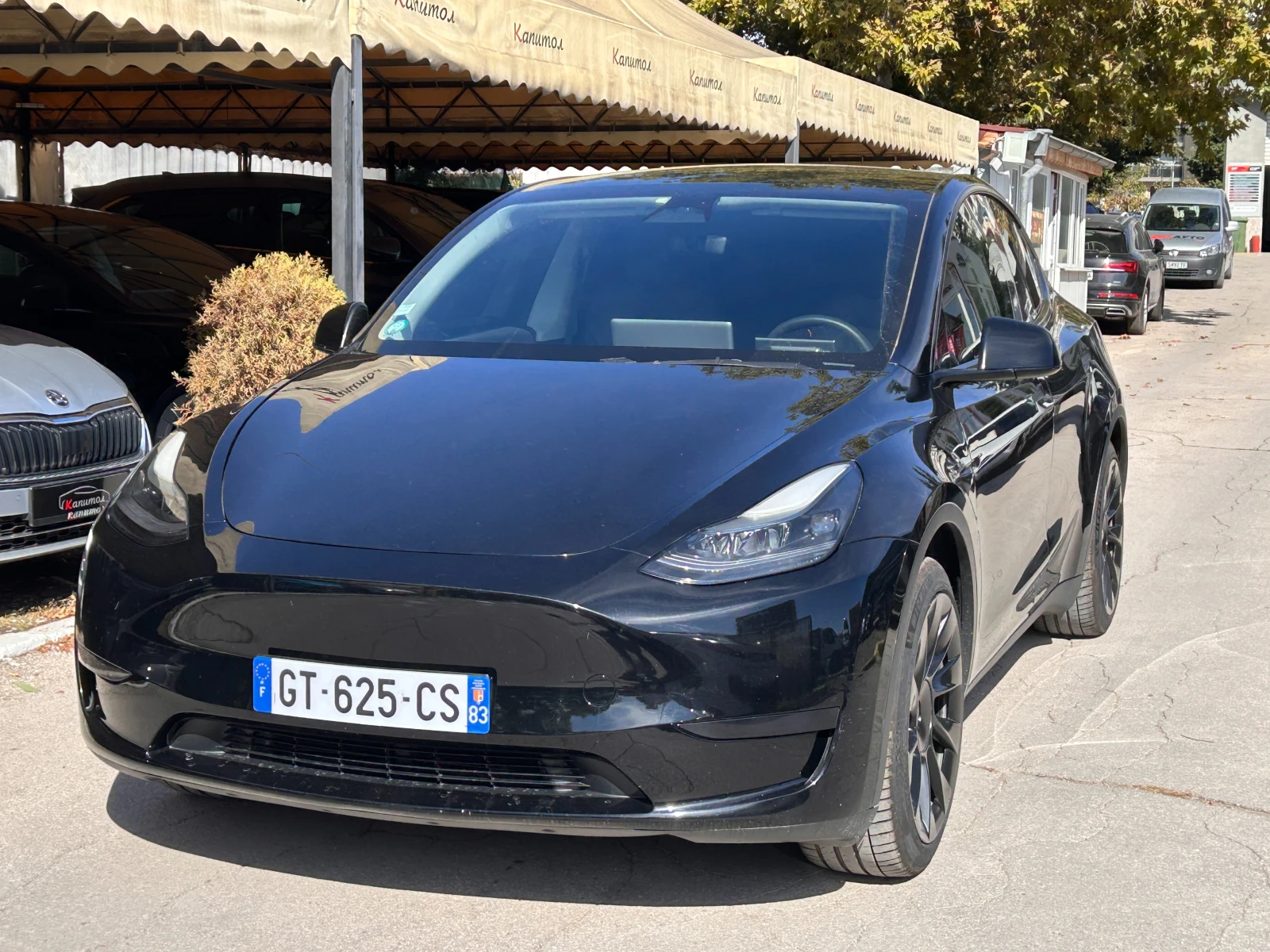 Tesla Model Y BLADE LFP RWD STANDART 299КС