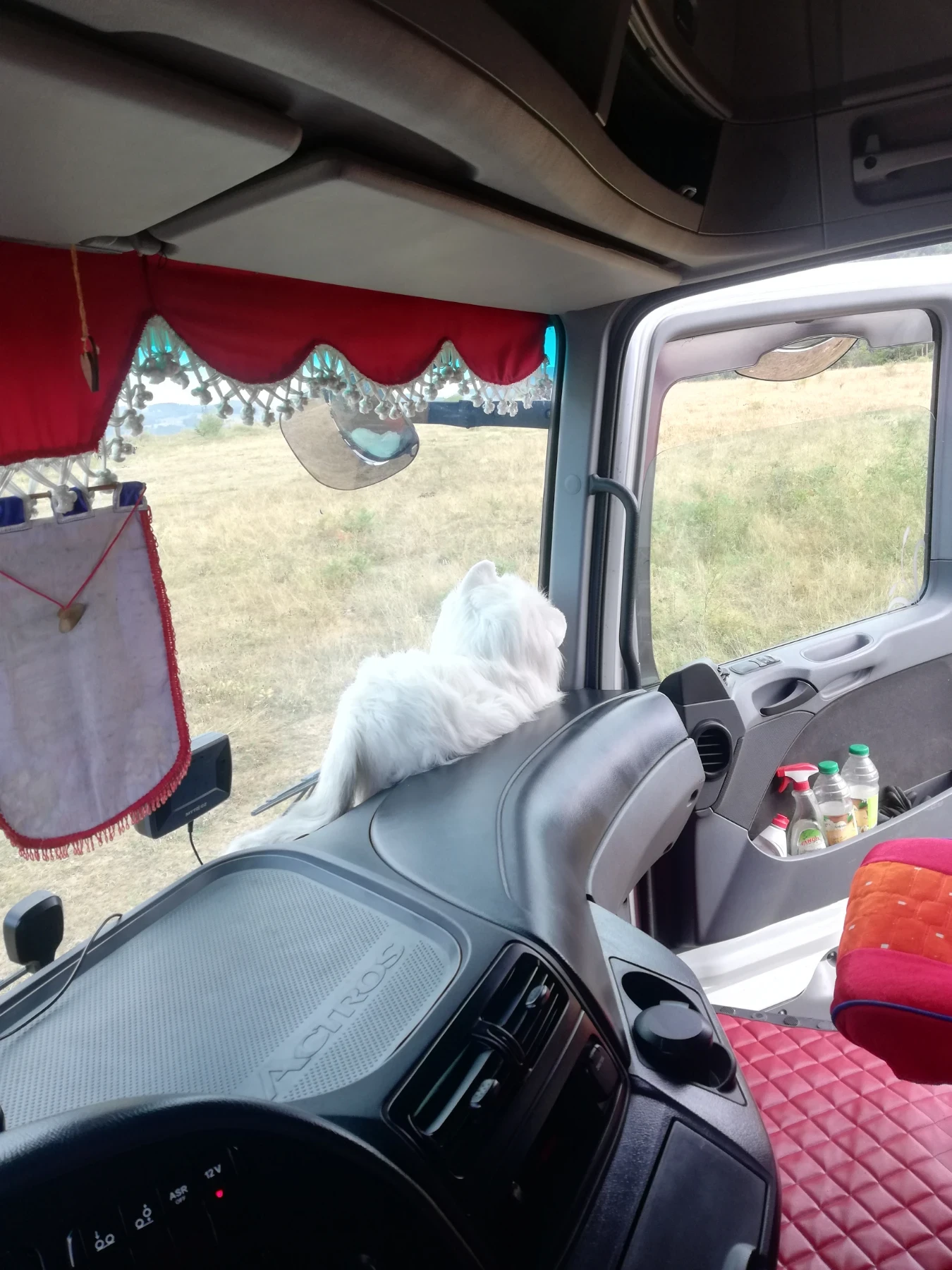 Mercedes-Benz Actros, снимка 12 - Камиони - 55968290