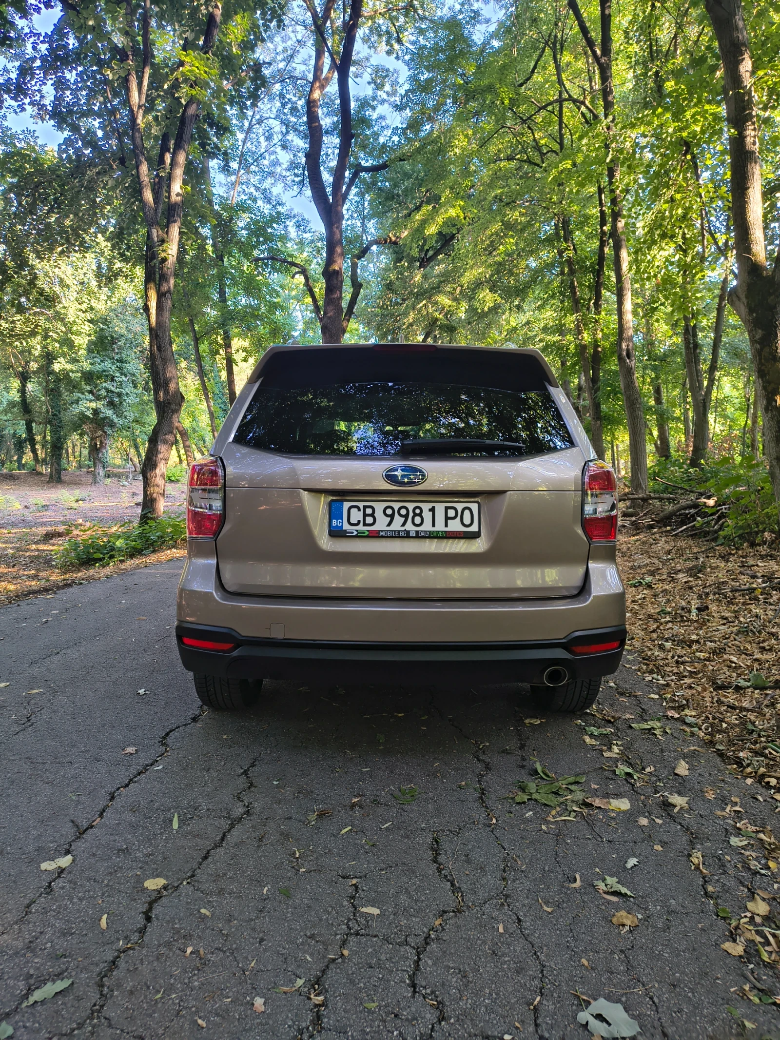 Subaru Forester Брониран  - изображение 3