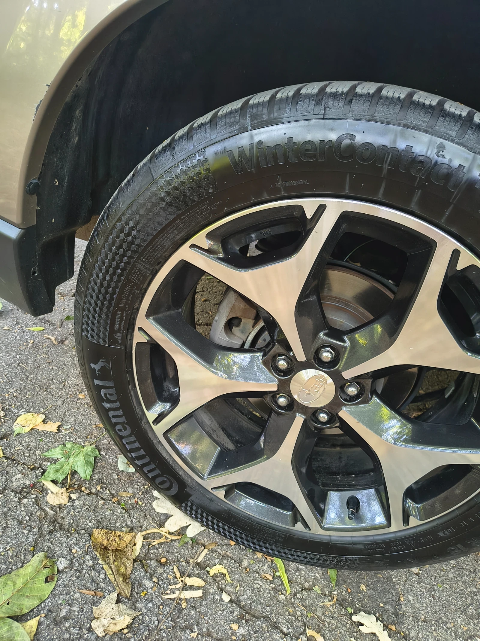 Subaru Forester   | Mobile.bg   15