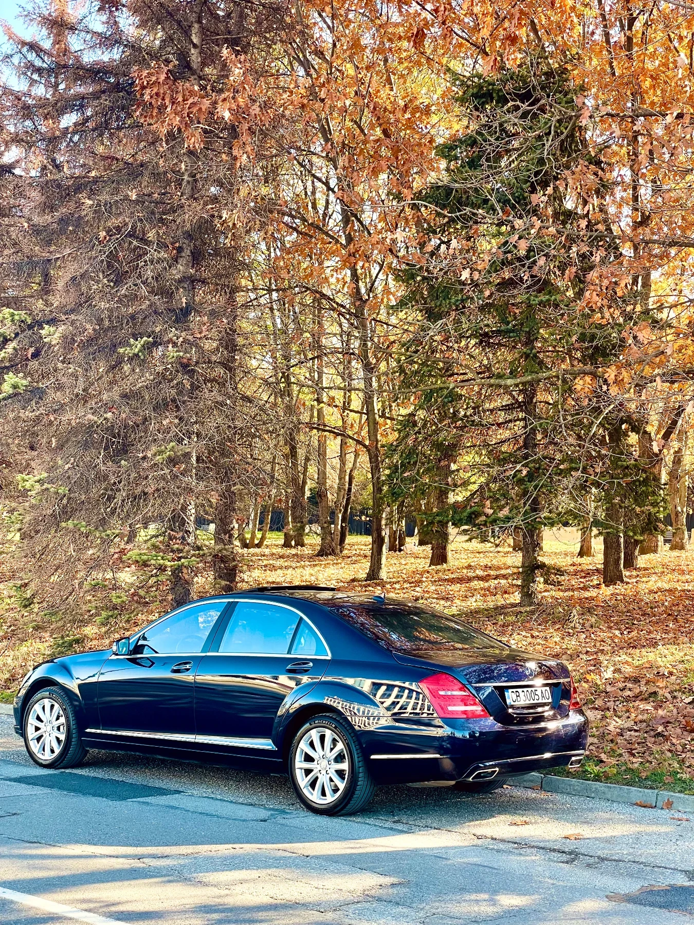 Mercedes-Benz S 500 L Facelift 4MATIC 7G-TRONIC - изображение 3