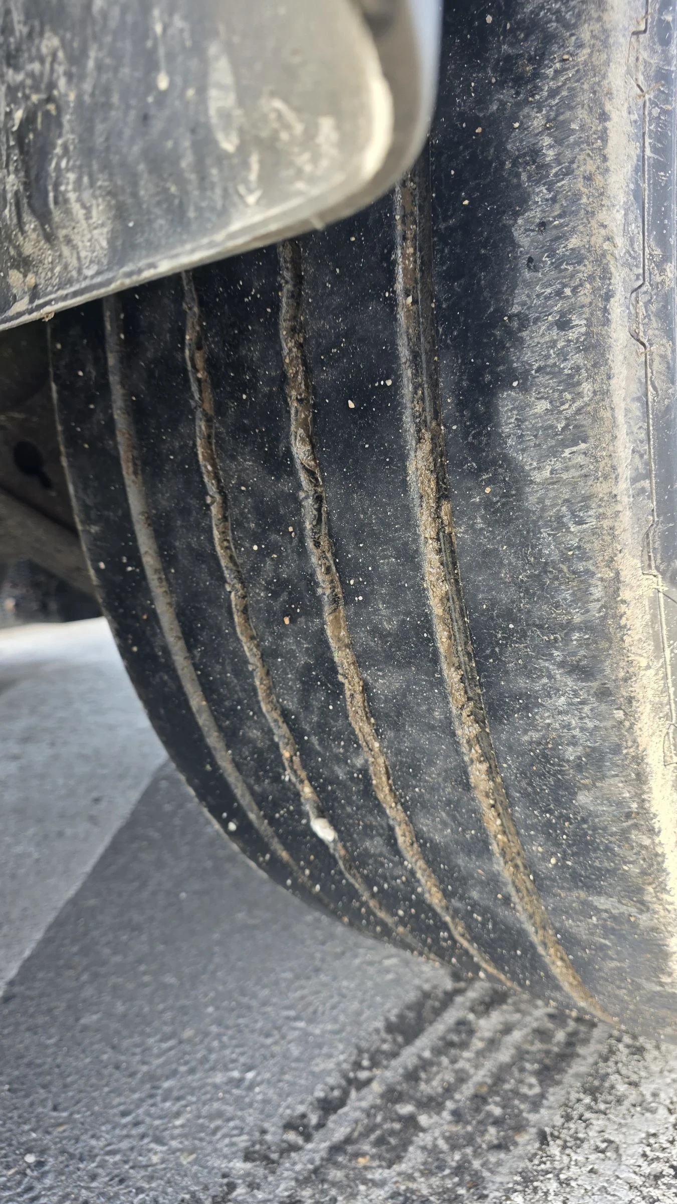  Koegel | Mobile.bg   5