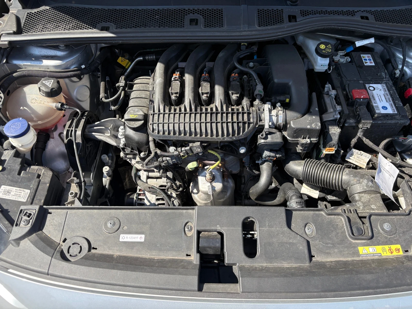 Opel Corsa CORSA  EDITION  31000km, снимка 14 - Автомобили и джипове - 56048355