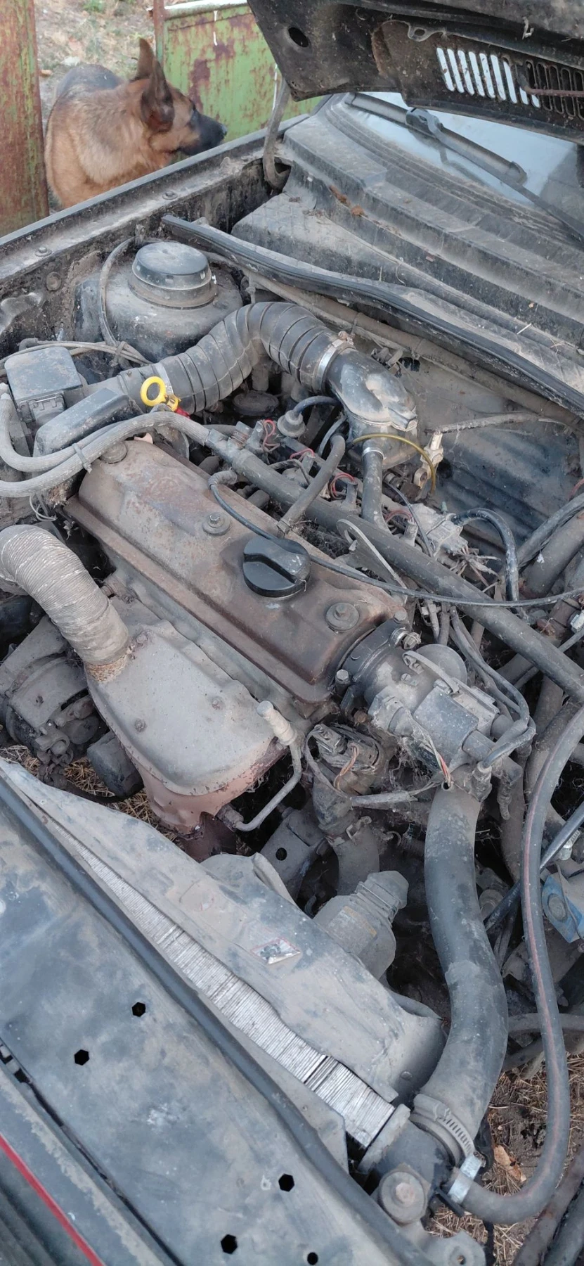 VW Golf 1.6 i, снимка 10 - Автомобили и джипове - 56363973