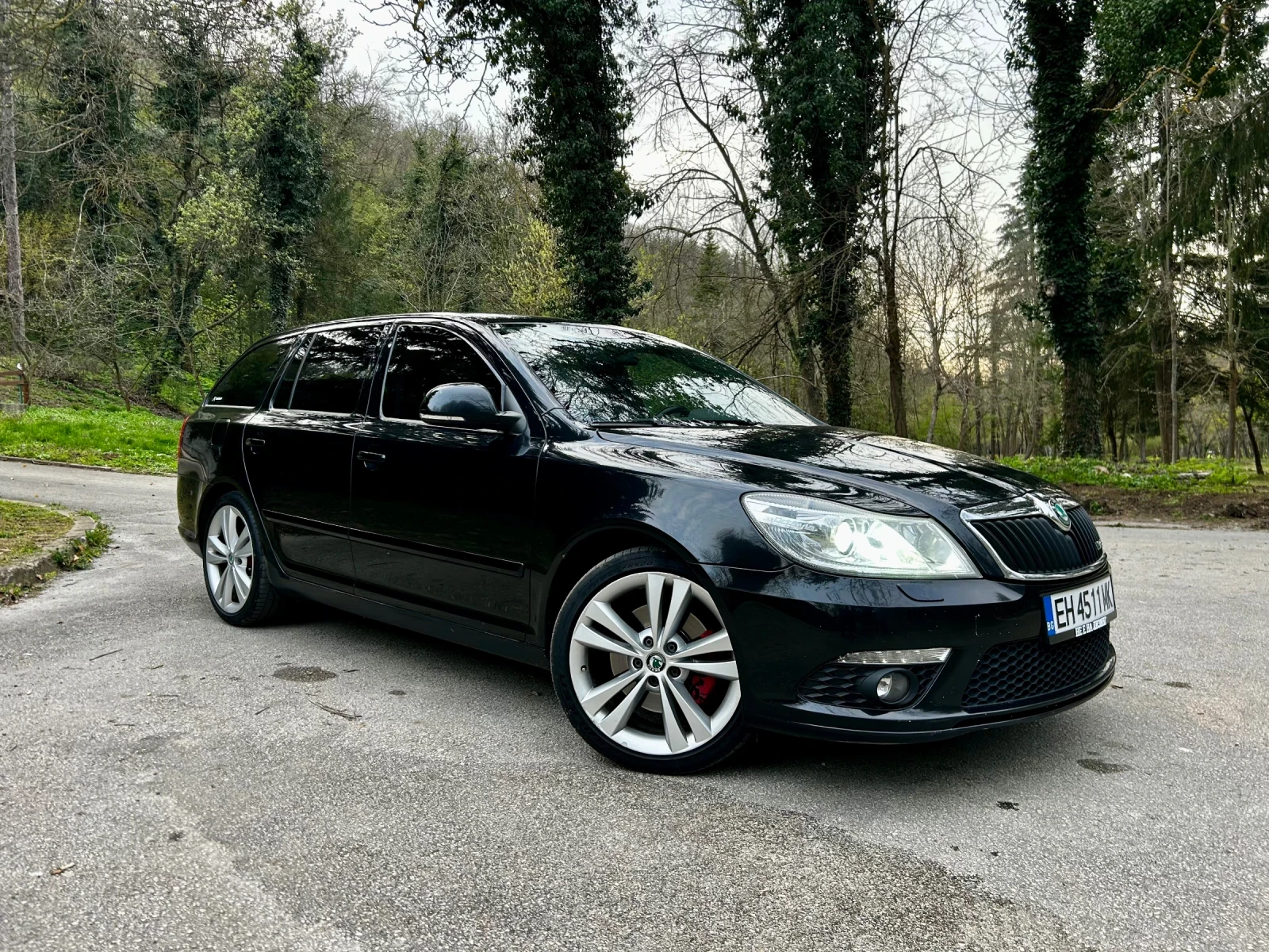 Skoda Octavia VRs 2.0 TDI 170, снимка 8 - Автомобили и джипове - 54298802
