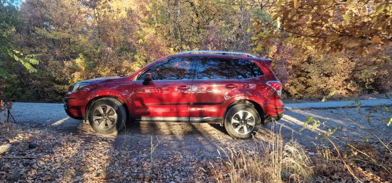 Subaru Forester, снимка 10 - Автомобили и джипове - 47991524