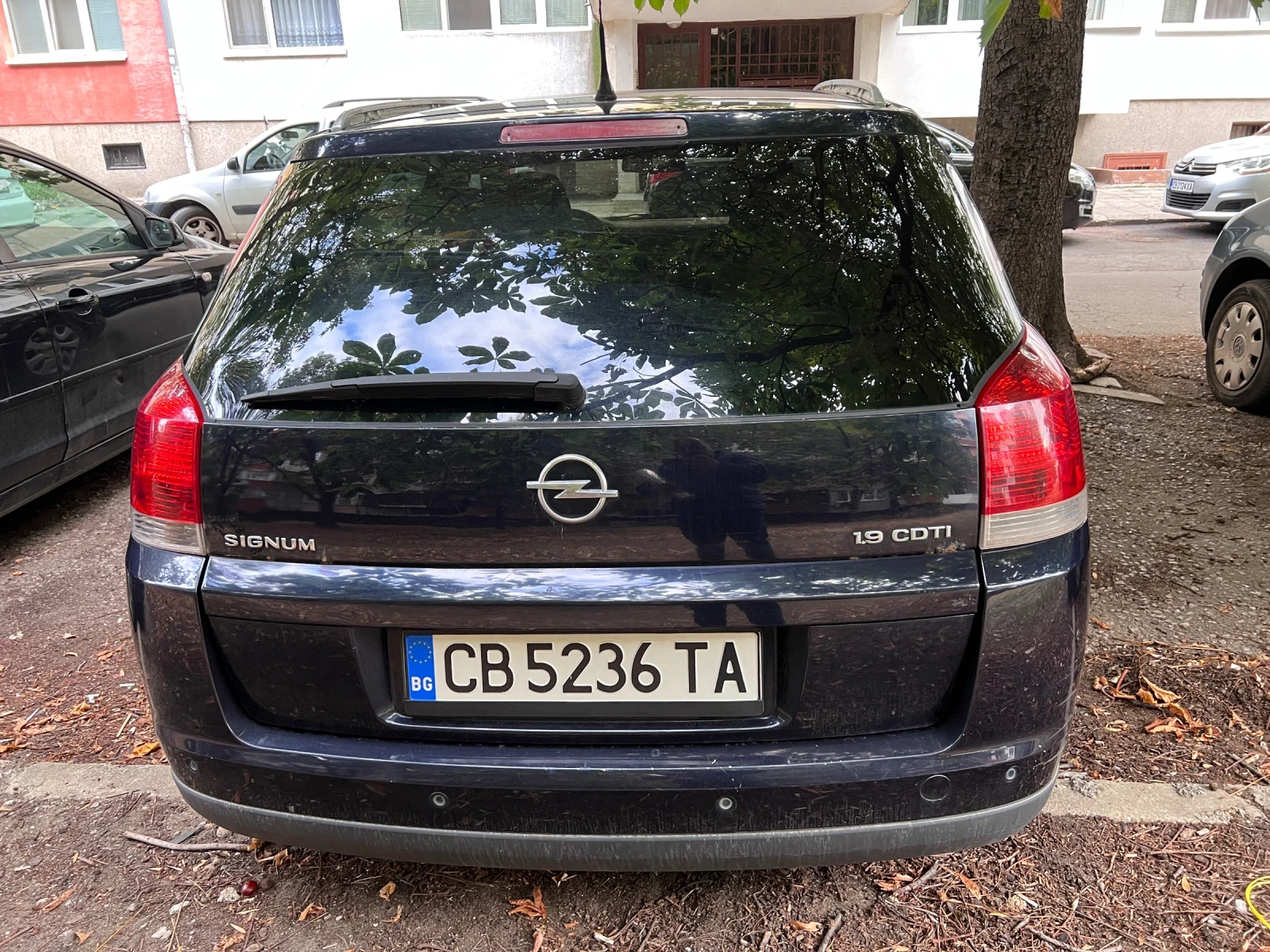 Opel Signum  - изображение 5