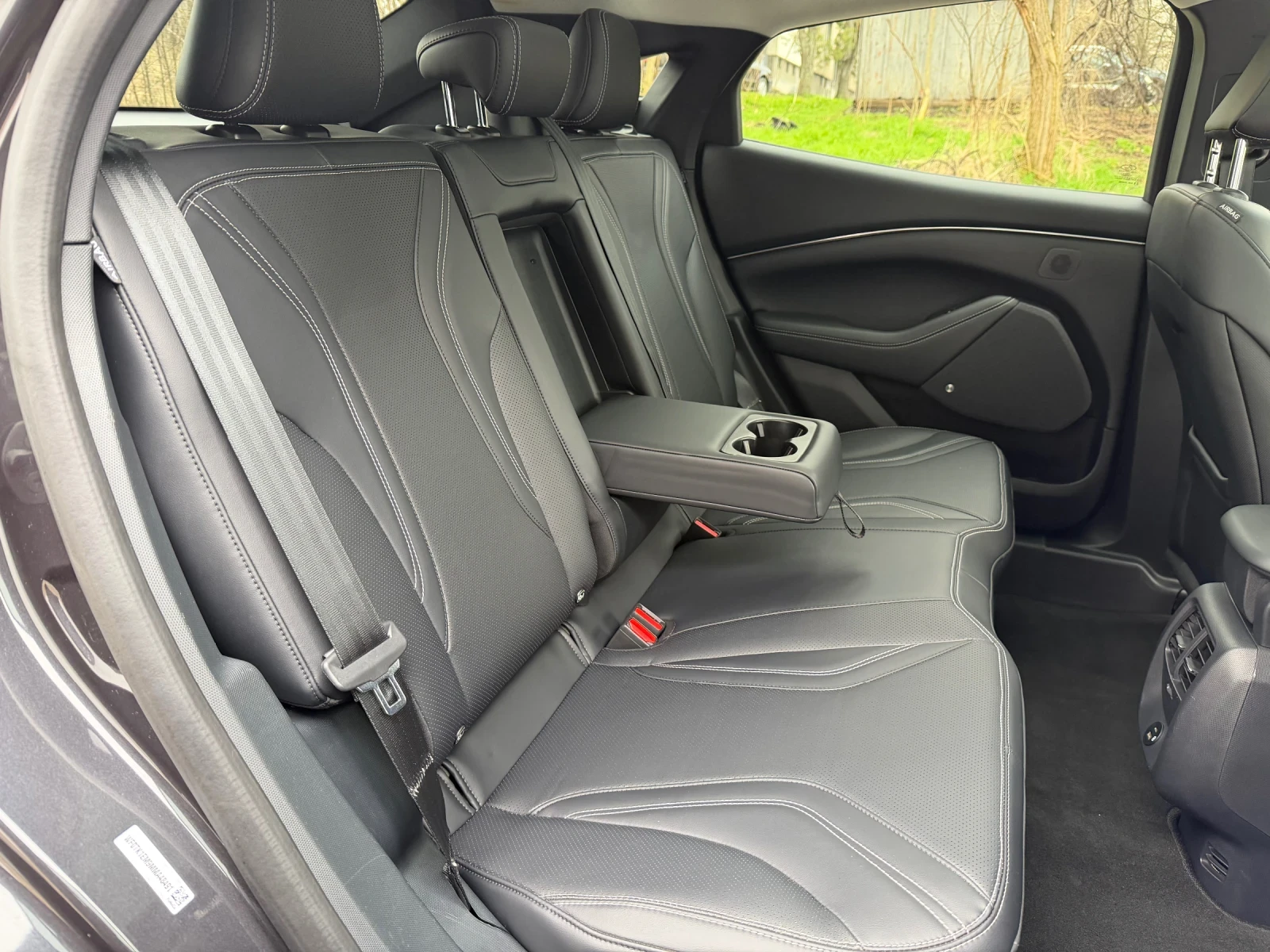 Ford Mustang Mach-E  - изображение 4