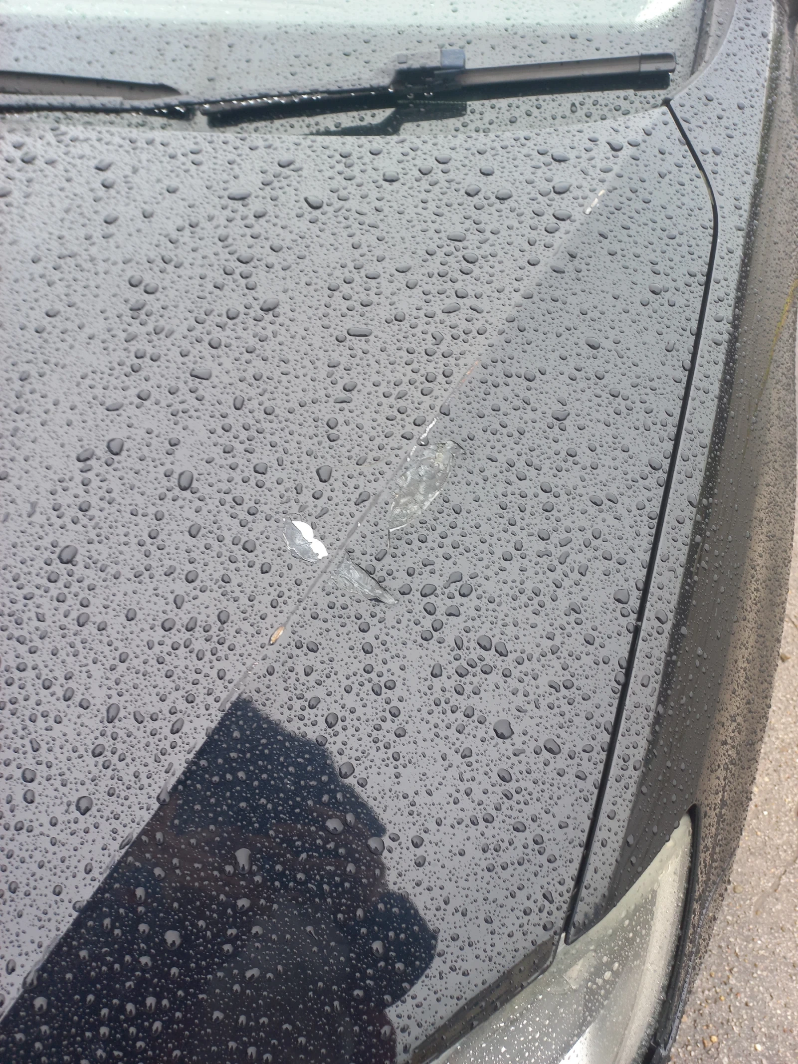 VW Sharan, снимка 4 - Автомобили и джипове - 54356269