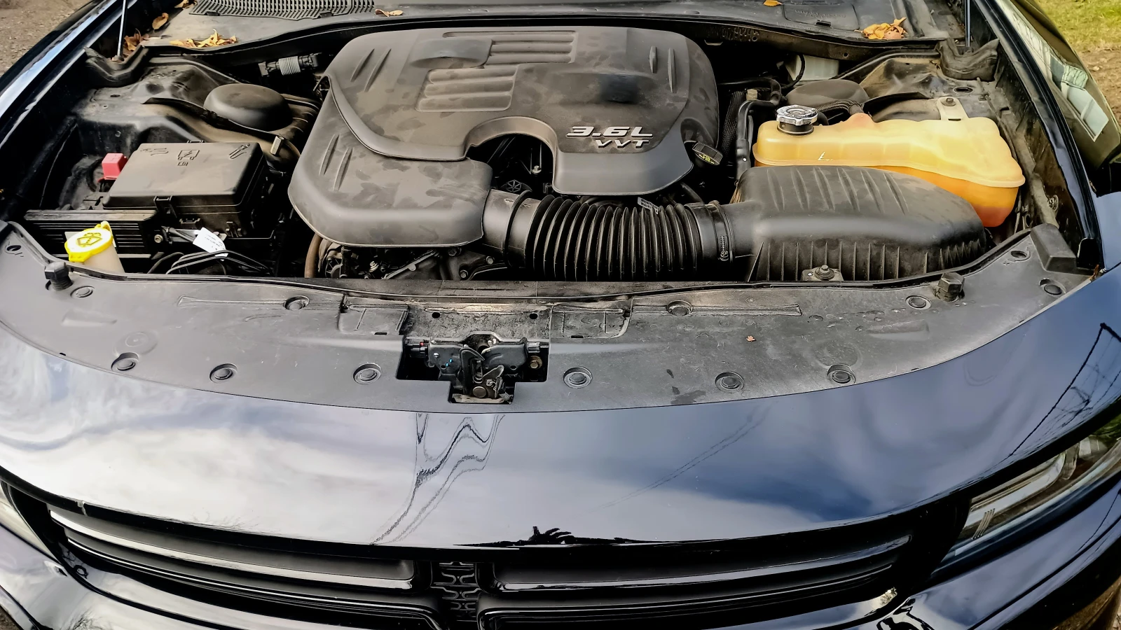 Dodge Charger SXT 3.6 V6 | �������� | 2 ����� | 2 �-� ������ | Mobile.bg � ����������� 8