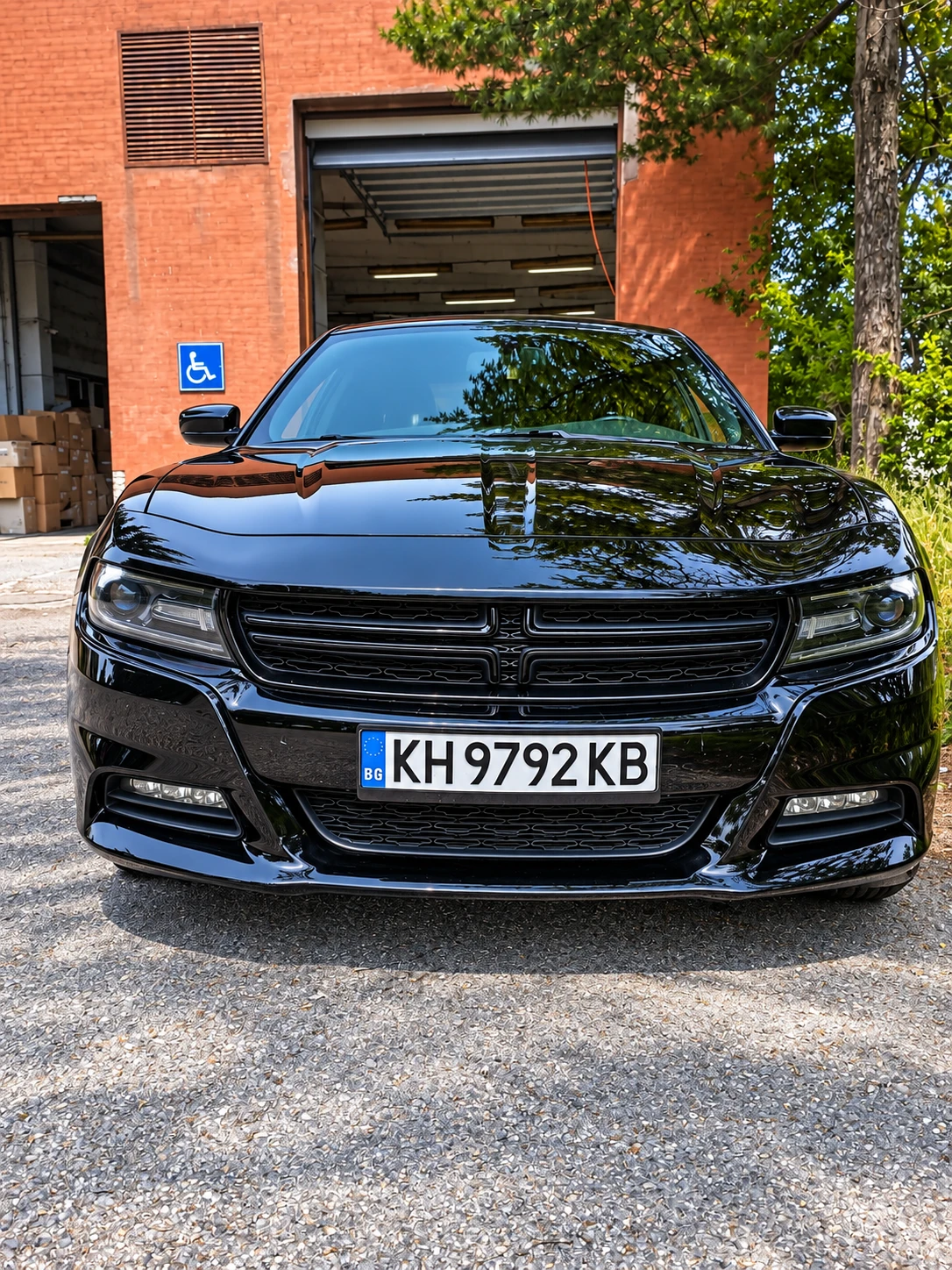 Dodge Charger SXT 3.6 V6 | �������� | 2 ����� | 2 �-� ������ | Mobile.bg � ����������� 2