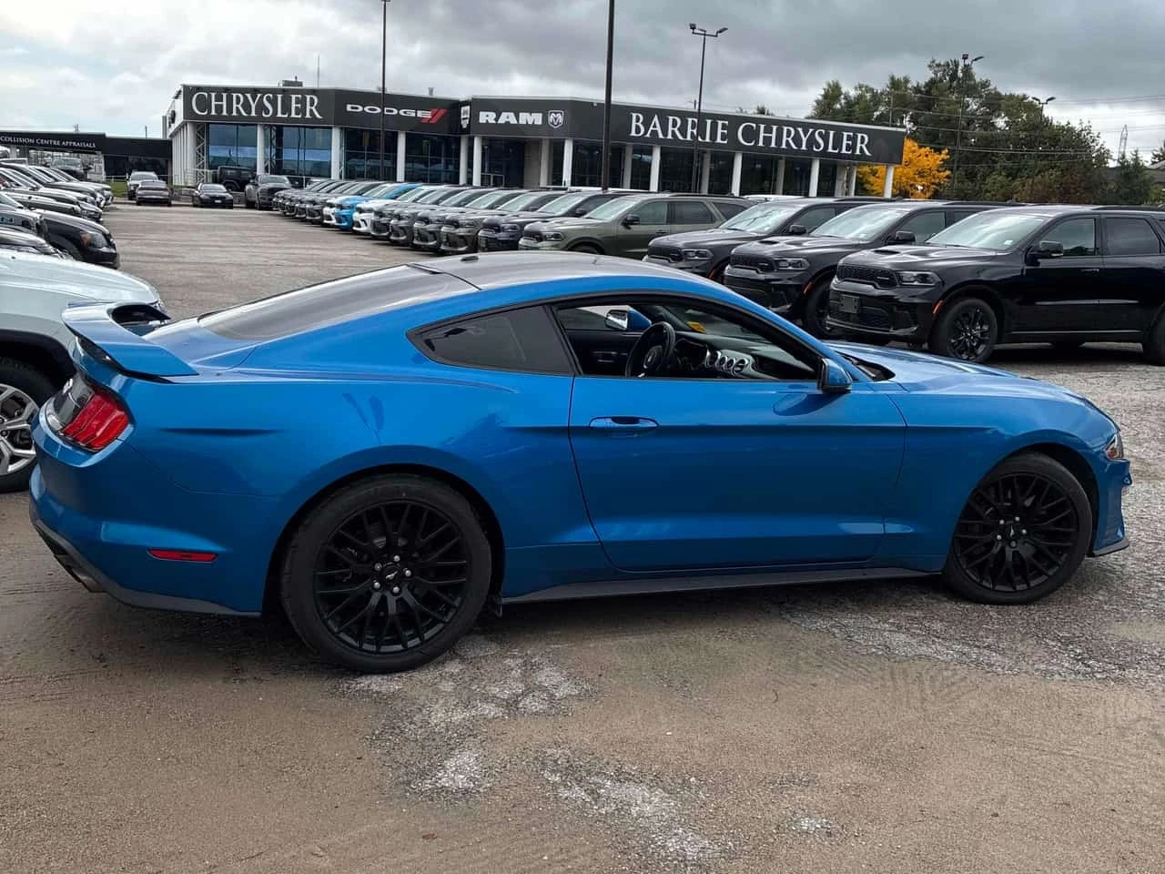 Ford Mustang * GT * CARFAX * ���������������� * ��������� *  | Mobile.bg � ����������� 3