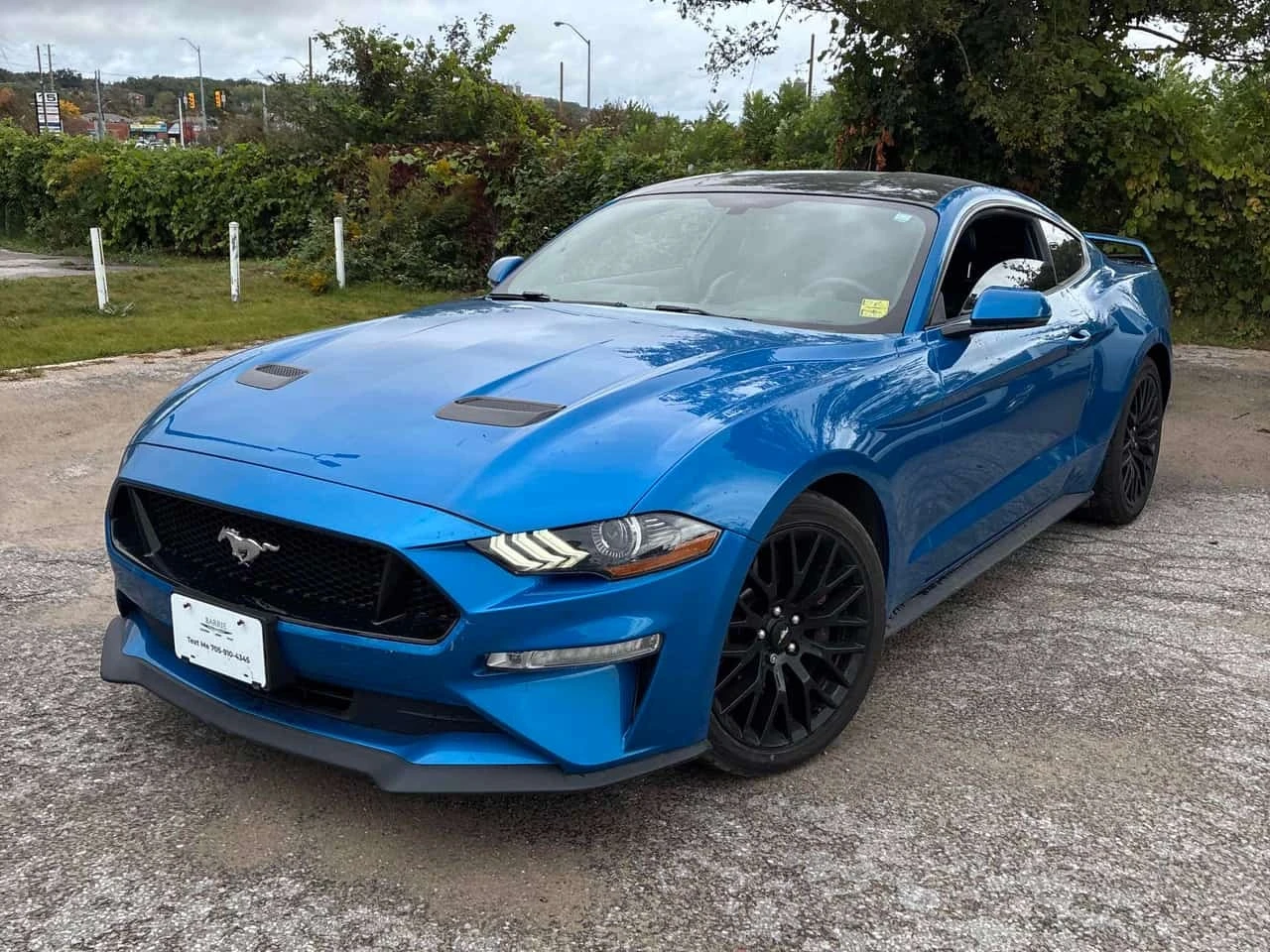 Ford Mustang * GT * CARFAX * ���������������� * ��������� *  | Mobile.bg � ����������� 1