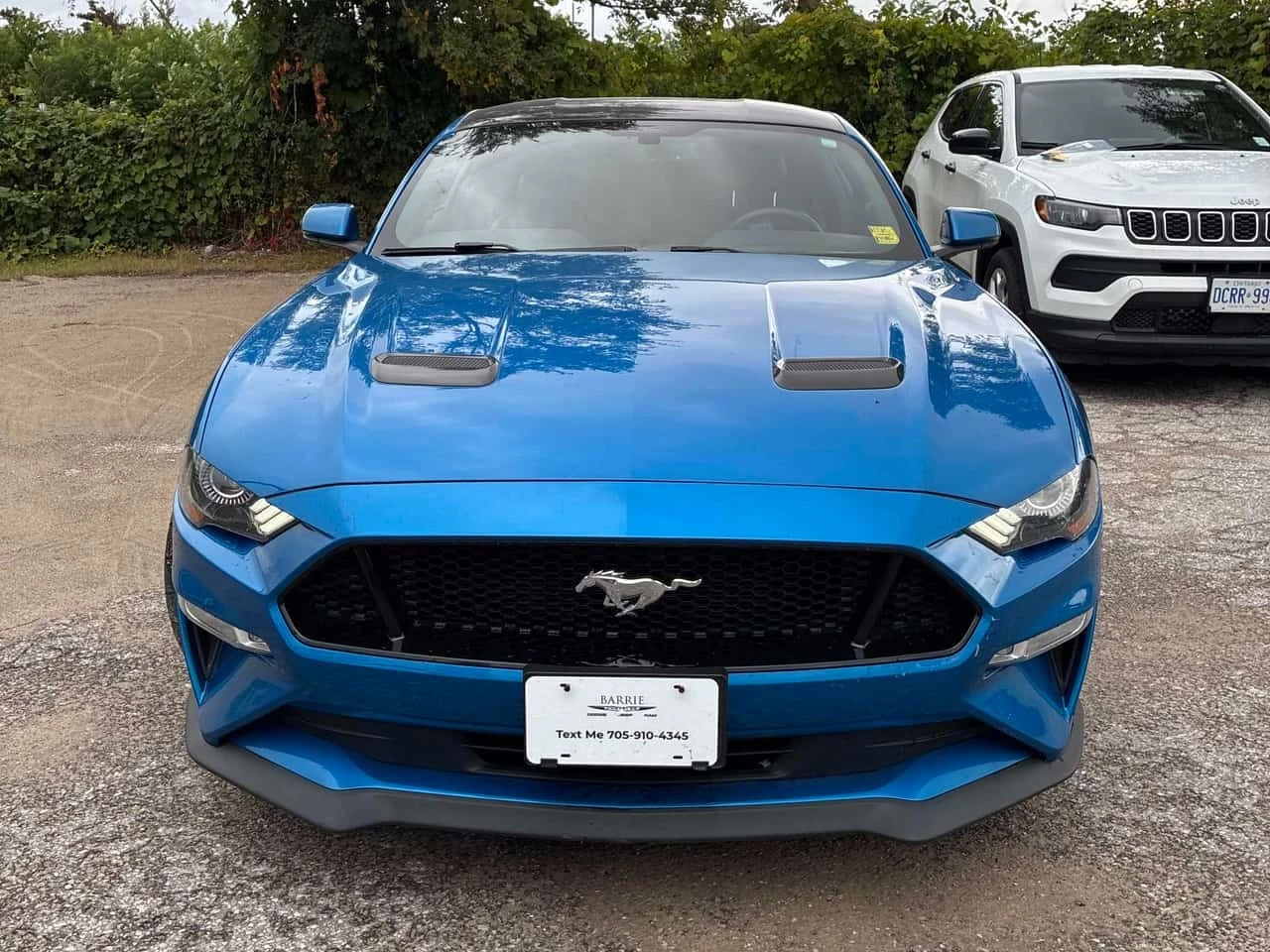 Ford Mustang * GT * CARFAX * ���������������� * ��������� *  | Mobile.bg � ����������� 6