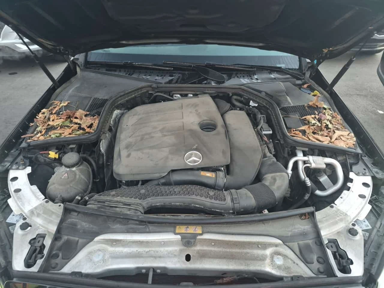 Mercedes-Benz C 300 * 4matic Sedan * CARFAX *  | Mobile.bg � ����������� 17