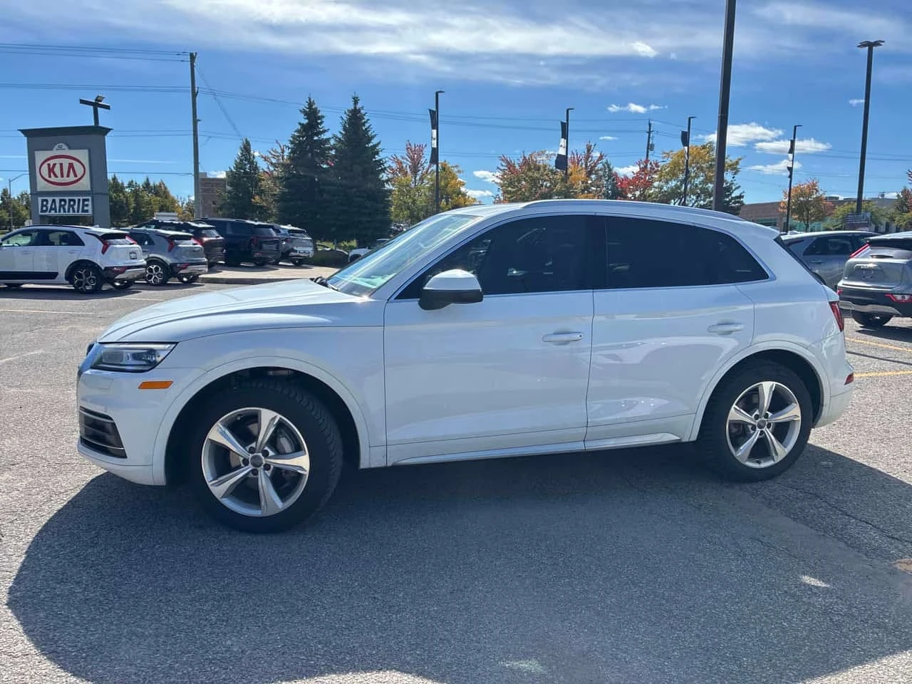 Audi Q5 / �� ���������������� / ���� �� ������  | Mobile.bg � ����������� 2