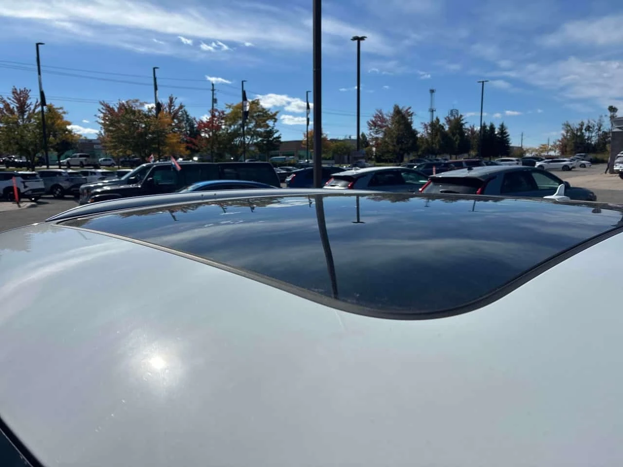 Audi Q5 / �� ���������������� / ���� �� ������  | Mobile.bg � ����������� 6