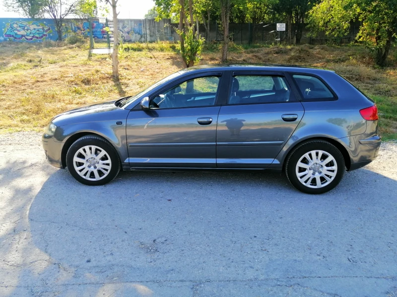 Audi A3 1.9 TDI 105 к.с. BLS Sportback, снимка 3 - Автомобили и джипове - 51232123