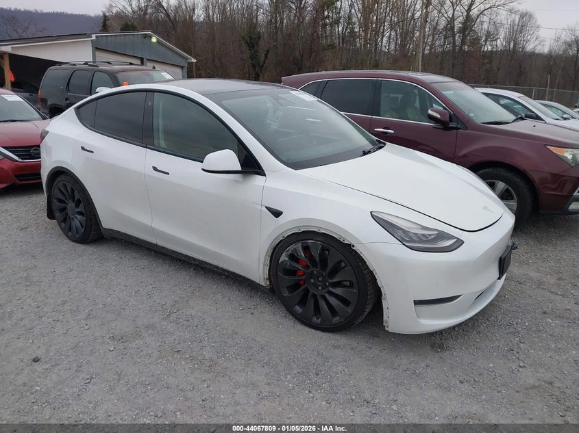 Tesla Model Y Long Range AWD | Auto.bg — изображение 1