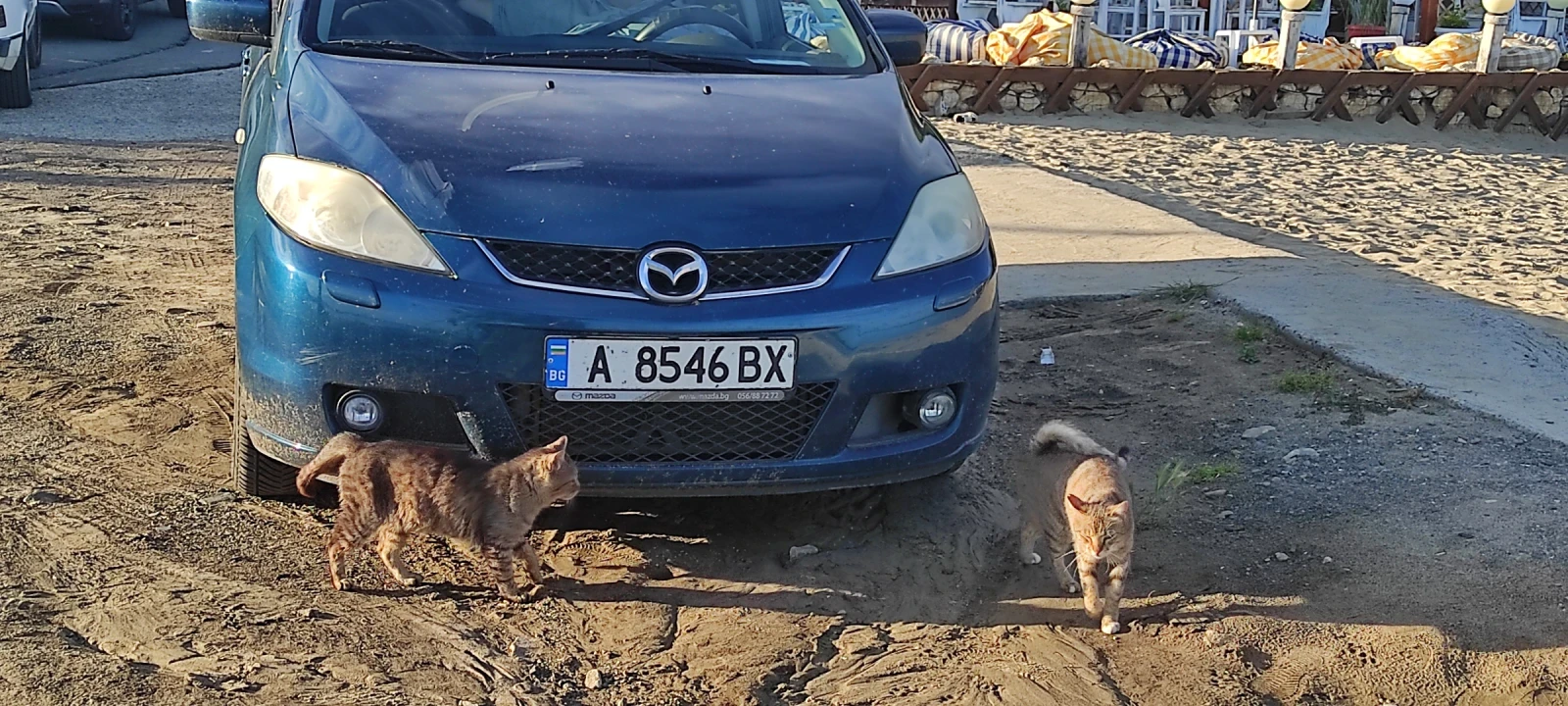 Mazda 5 7������ ���� ���. | Mobile.bg � ����������� 17