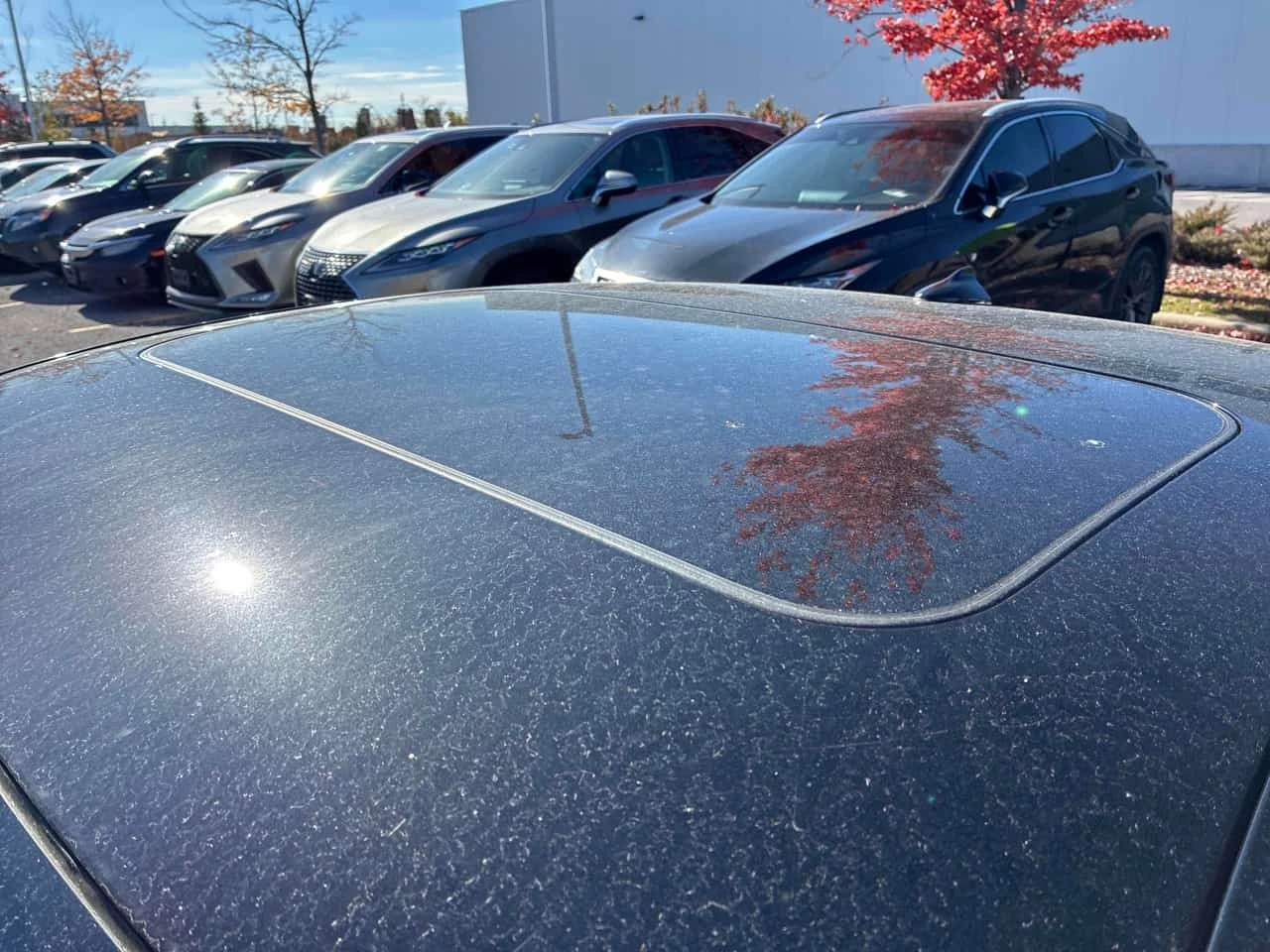 Infiniti Q60 3.0t Red Sport 400/����������������/���� | Mobile.bg � ����������� 10
